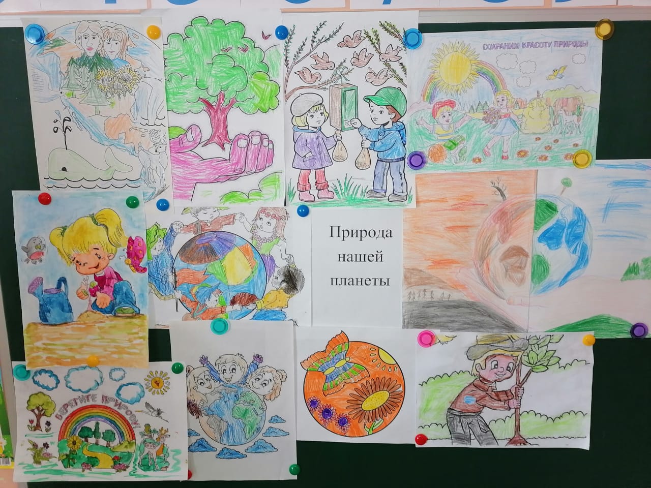 Выставка рисунков берегите природу в детском саду